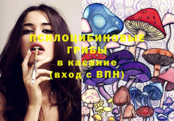 гидропоника Алексеевка