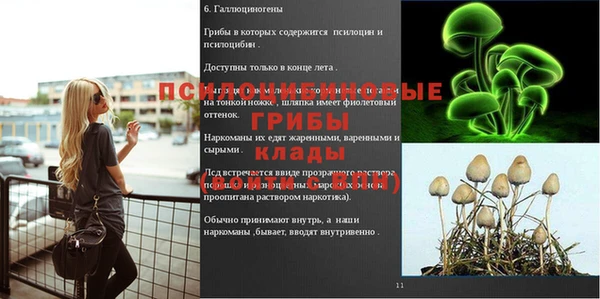а пвп мука Алексин