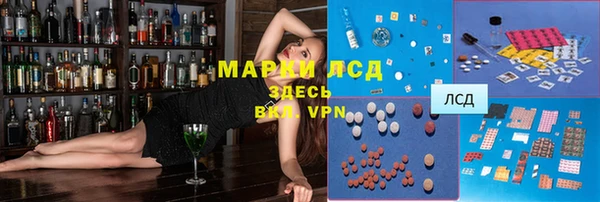 гашик Алзамай